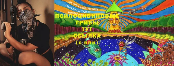 ПСИЛОЦИБИНОВЫЕ ГРИБЫ Алексеевка