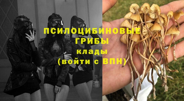 МДМА Алексин