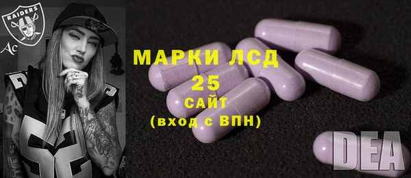 ПСИЛОЦИБИНОВЫЕ ГРИБЫ Алексеевка