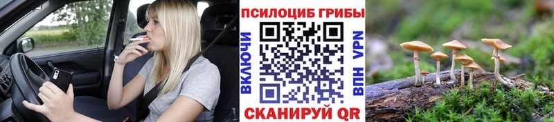blacksprut зеркало  Уяр  Псилоцибиновые грибы ЛСД 