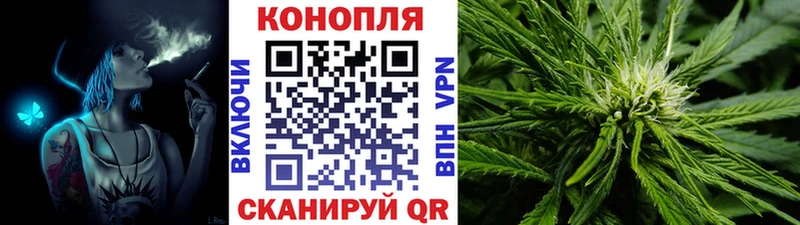МАРИХУАНА White Widow  Уяр 
